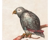 On a Branch print