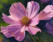 Pink cosmos, floral watercolor print of original painting by Cathy Hillegas - "Summer Celebration"