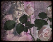 Pale Roses Collage Print and ACEO With Poem