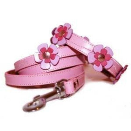 Pink Flowers Leather Dog Collar and Leash Set