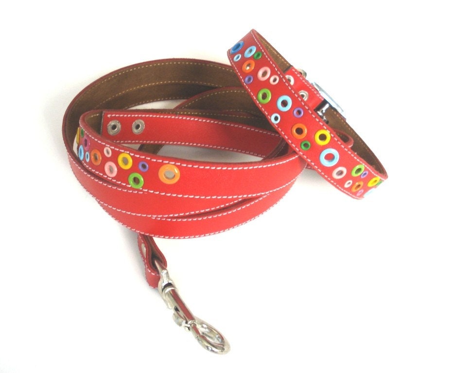 Loki Puppy Leather Dog Collar and Leash Set Red