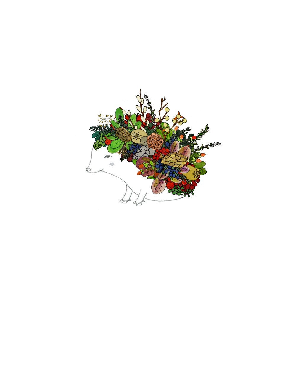 Evergreen Hedgehog, Flowers. limited edition 8x10 print.
