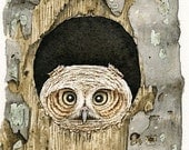Peek A Boo Owl - 8x10 archival watercolor print by Tracy Lizotte