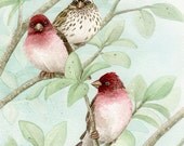 Bird Tree with Finches - 11x14 archival watercolor print by Tracy Lizotte