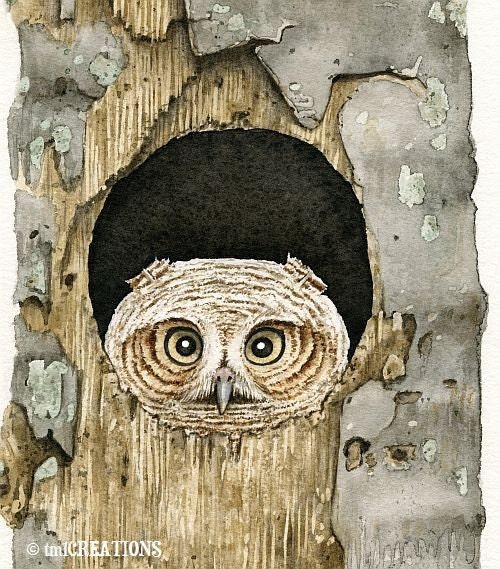 Peek A Boo Owl - 8x10 archival watercolor print by Tracy Lizotte