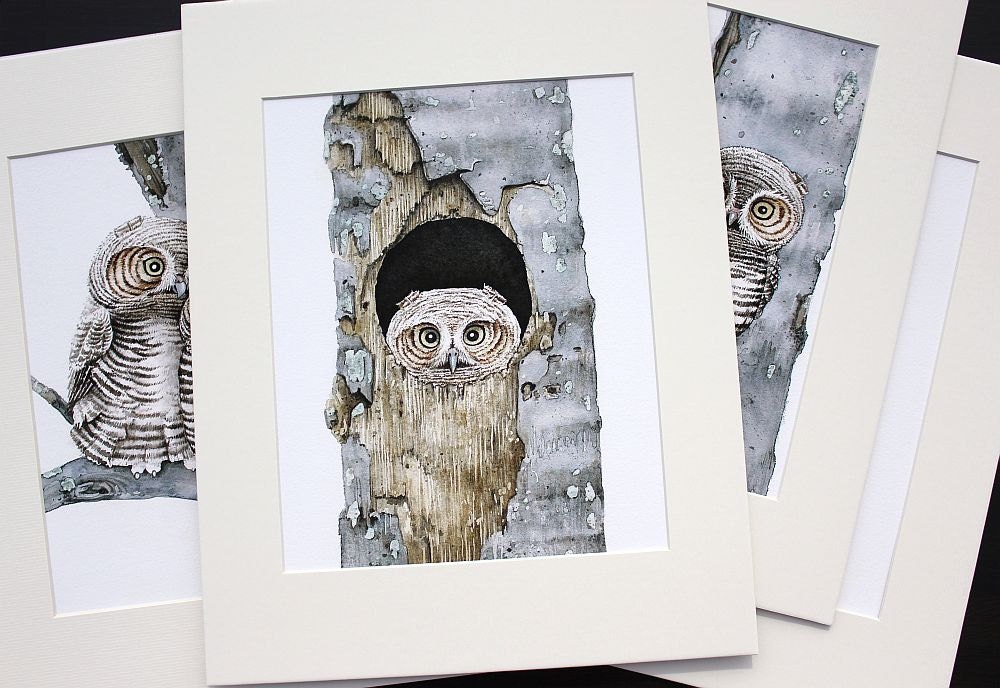 Peek A Boo Owl - 8x10 archival watercolor print by Tracy Lizotte