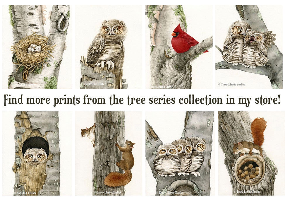 Good Night Owls - 8x10 archival watercolor print by Tracy Lizotte