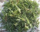 Organic  ROSEMARY sprigs / fragrant  / Delicious