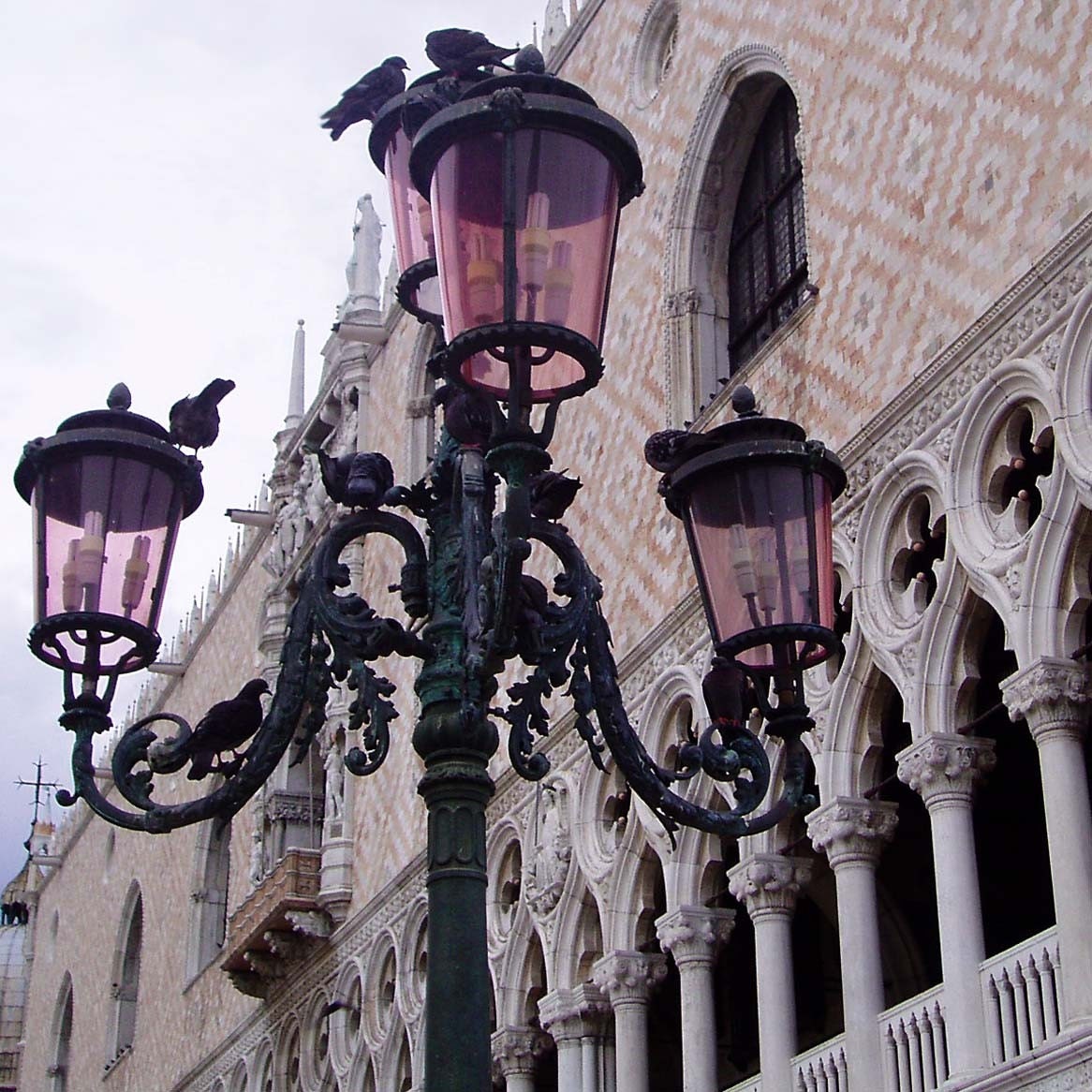 Doge's Palace Venice Italy  8x10 Original Photograph