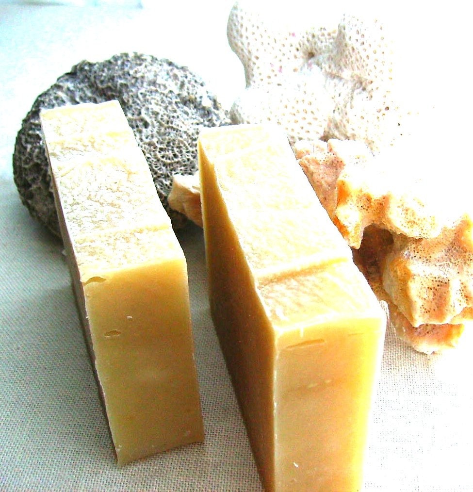 Aloe Shampoo Bar with Lavender Rosemary, and Mint - Vegan Shampoo Bar - Solid Shampoo - SLS free - Palm Oil free - Plastic free