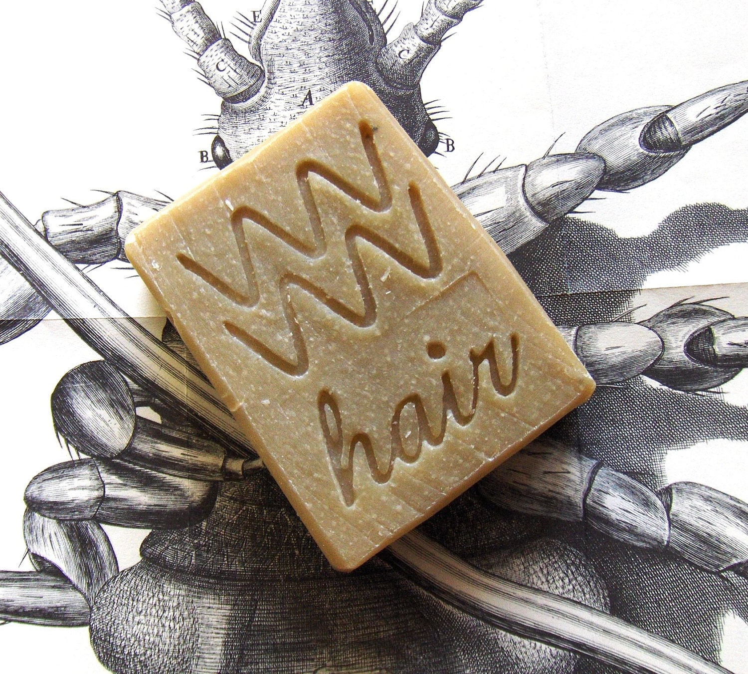 De-lice-ous Shampoo Bar - Back to School - Solid Shampoo - Neem Shampoo - Vegan Shampoo Bar