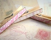 Decorated Clothespins Fridge Magnets - Wallpaper Pink - Set of 3