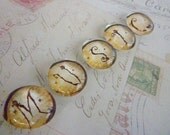 MUSIC - Glass Magnet Set