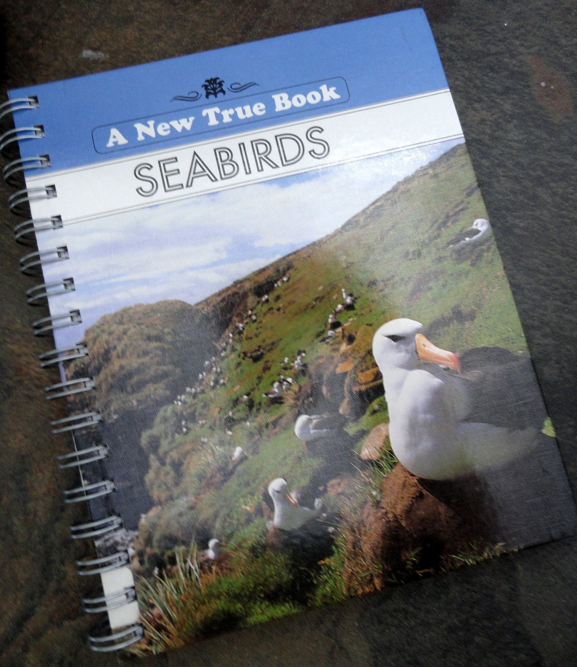 Seabirds - Recycled Handmade Journal