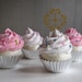 Fake Cupcake Mini Pink/White Cupcakes w/ Sprinkles Set of 4 TOO CUTE Great for Baby Shower Decor Photo Sessions Can Be Made Into Ornaments