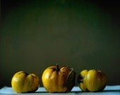 Three quince in autumn light, Fine art photograph, print 8x8, archival paper, pigment inks