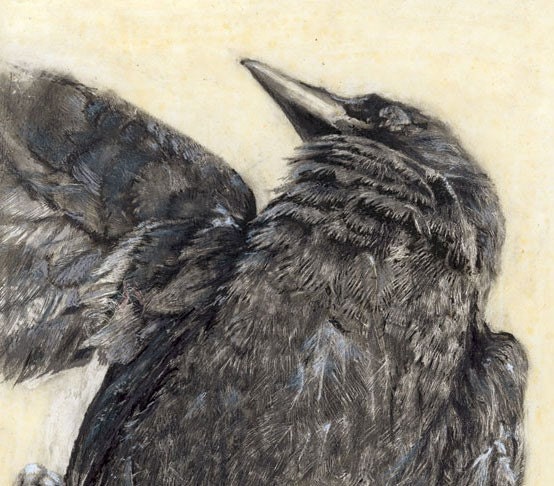 The Crow - Fine art print from original drawing on wood