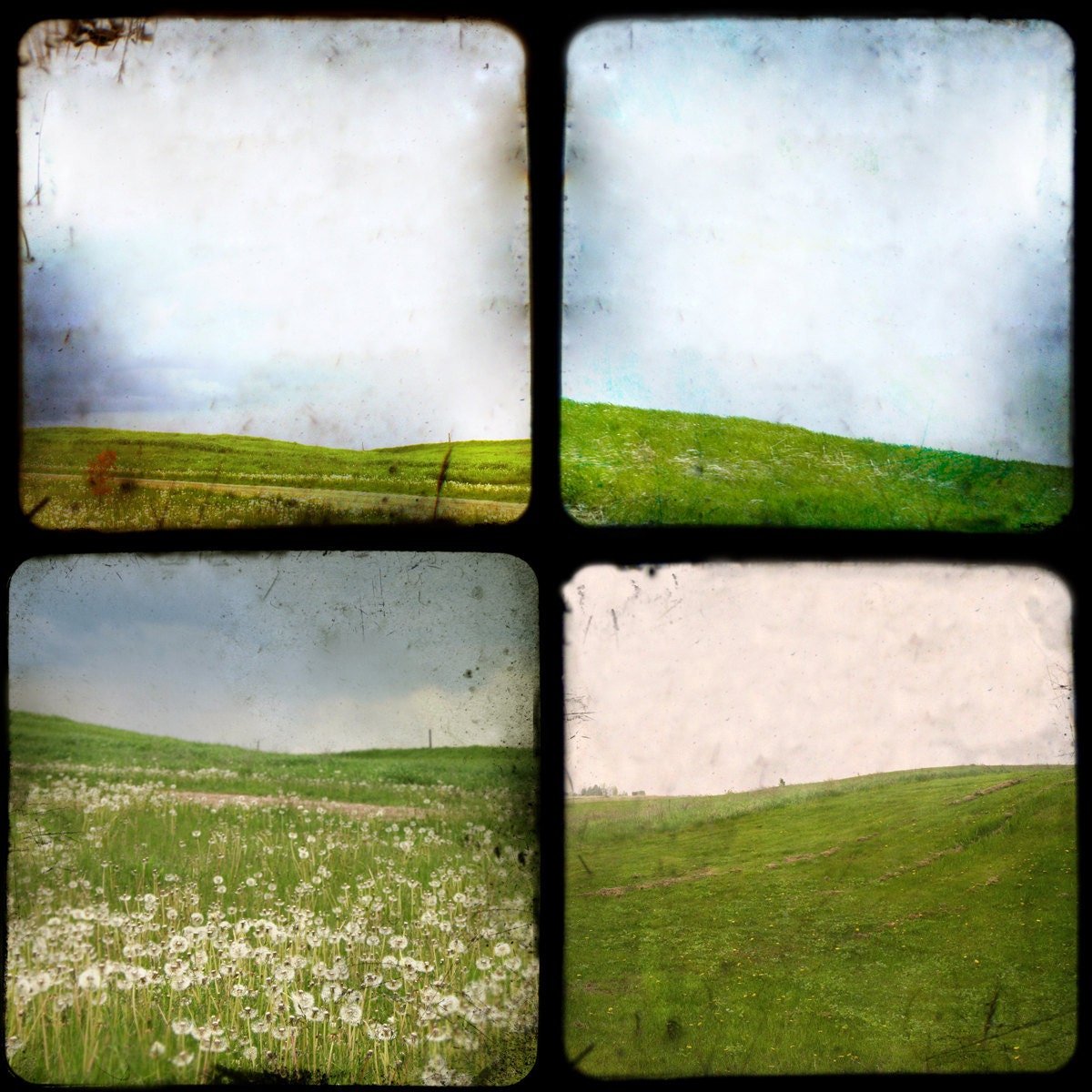 The Fields - TTV photographs SET of 4