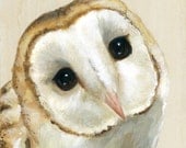 Print on Wood - Big Eyed Barn Owl