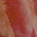 Wild Roses Marbleized Wool