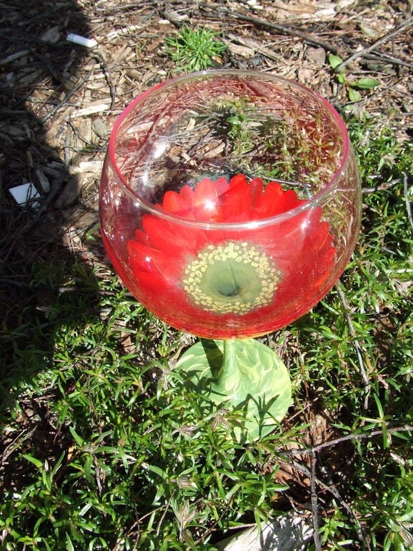Red Gerbera  Daisy