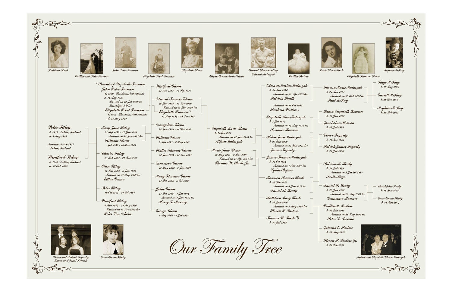 Family Tree - Pedigree Chart