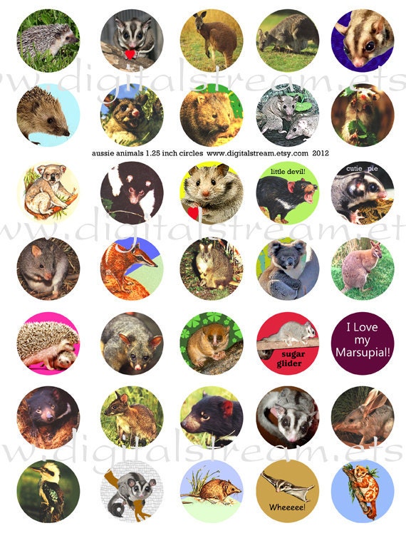 Aussie Animals 1.25 inch Circles Digital Collage Sheet 35 Different 30mm Images