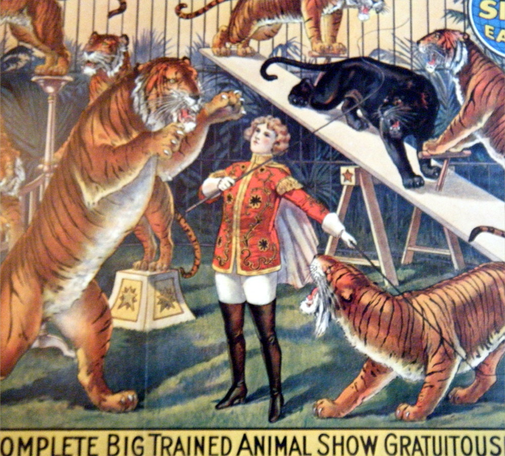 TIGERS Vintage Circus Poster -  Ringling Bros and Barnum & Bailey Greatest Show on Earth Circus Poster Size Book Plate