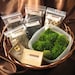 Make Your Own Moss Terrarium - Chic Moss Terrarium Kit No.25 Comes with Monogram of Choice