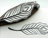 Peacock feather