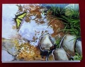 Nature Walk Notecards by Cindy Day assortment of 4