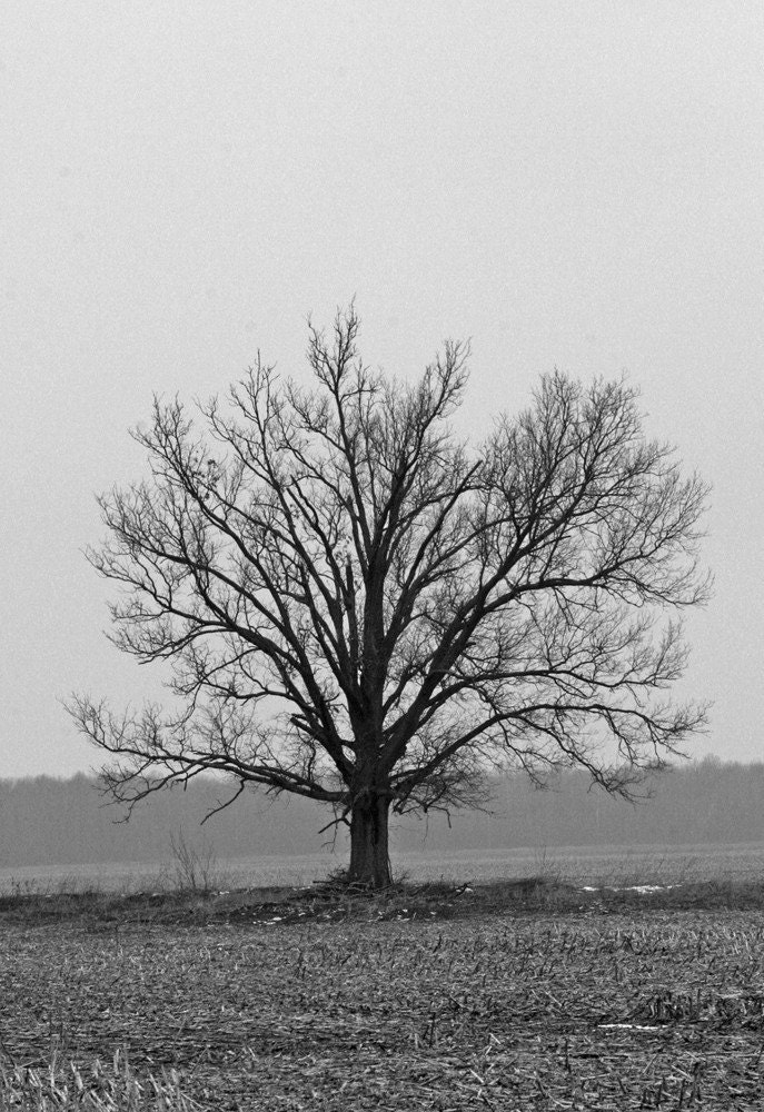 Cold Days Ahead 4x6 Metallic Print - GallivantingGirl Cold Days Ahead 4x6 Metallic Print - GallivantingGirl