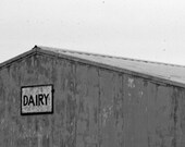 Fair Time No. 1 4x6 Metallic Print