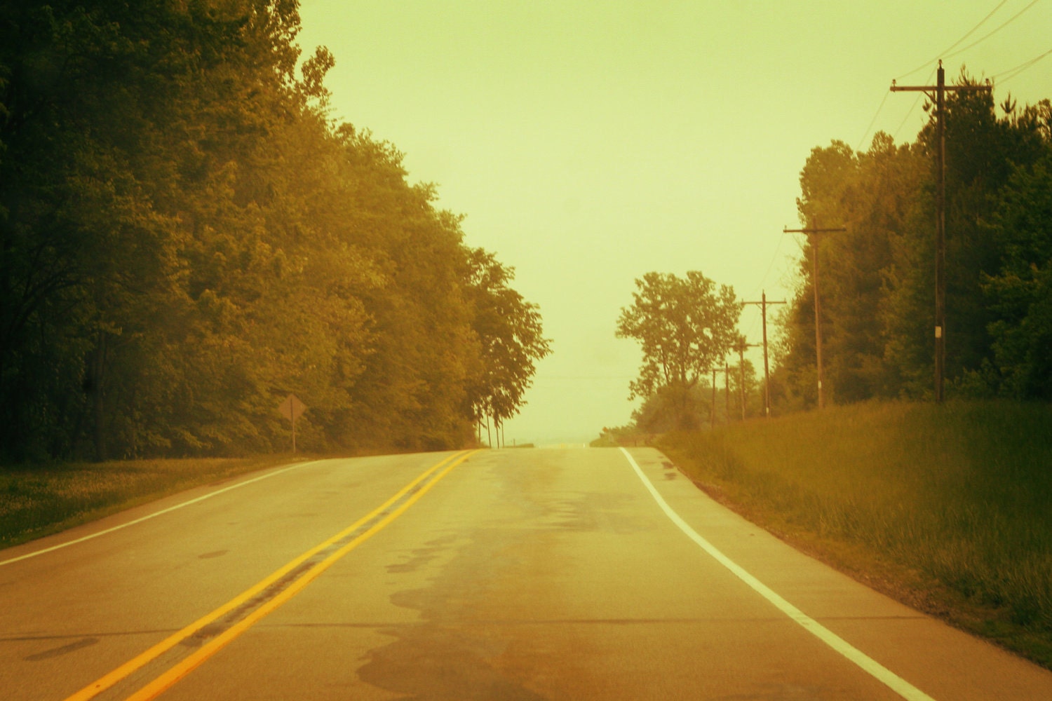 To Love A Road No. 8  4x6 Metallic Print