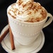 Gourmet Pumpkin Spice Hot Cocoa Mix (Small)