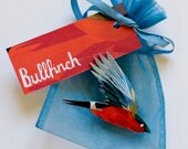Bullfinch Bird Brooch
