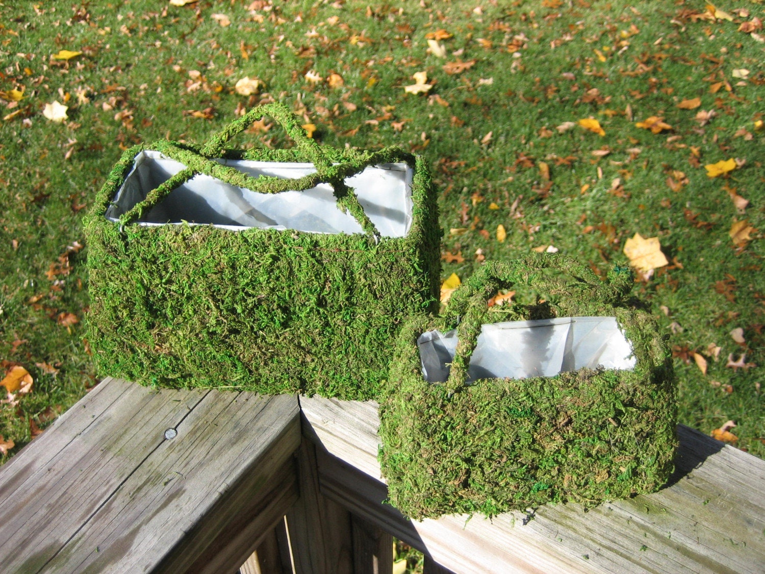 TWO Natural Green Moss Purse Planter with handles small and large