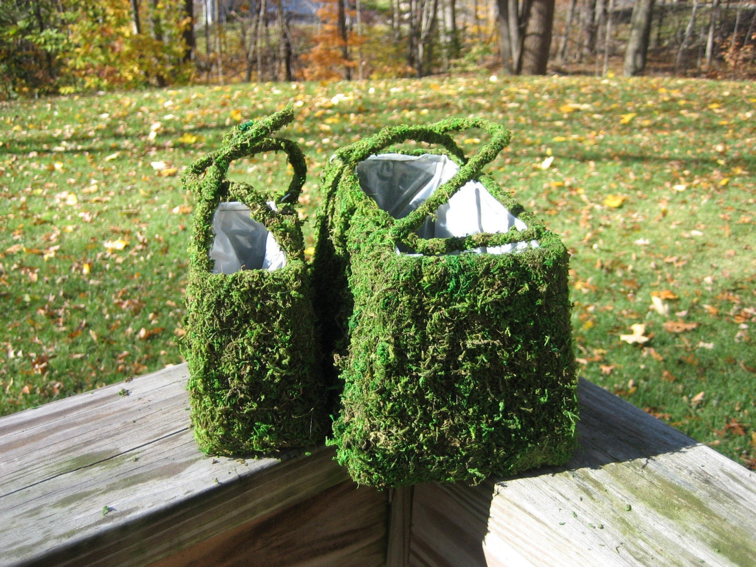 TWO Natural Green Moss Purse Planter with handles small and large