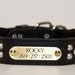 Cone Stud Dog Collar, Leather Dog Collar, Studded Dog Collar, engraved dog collar, personalized collar