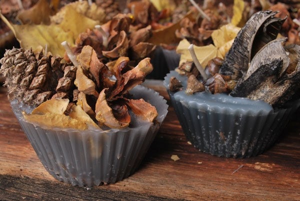 12 Pinecone wax fire starters campfire