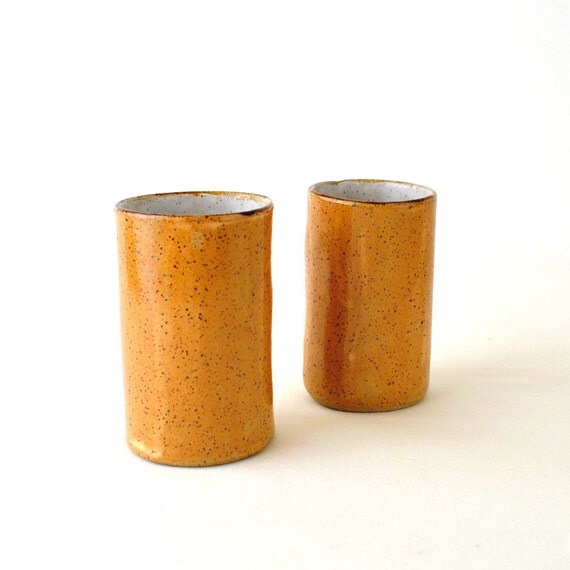 Stoneware Tumblers in Sienna and White (Set of 2)