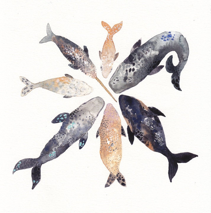 Whale Pod - Archival Print
