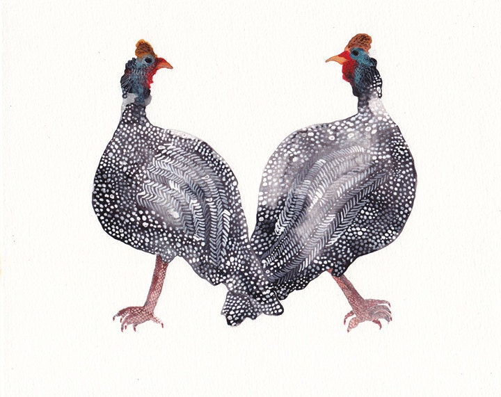 Two Helmeted Guinea Fowls - Archival Print