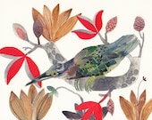 Green Heron and Magnolias - Archival Print