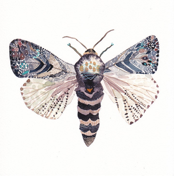 Moth - Archival Print