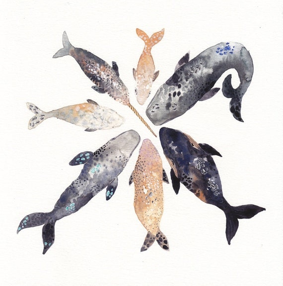 Whale Pod - Archival Print