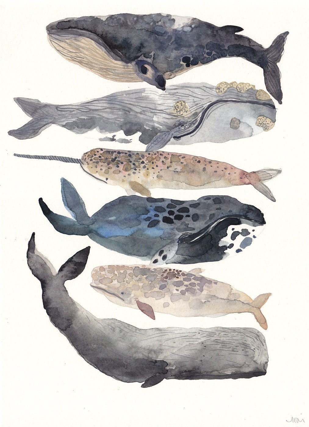 Six Whales -Original Watercolor Painting