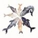 Whale Pod - Archival Print
