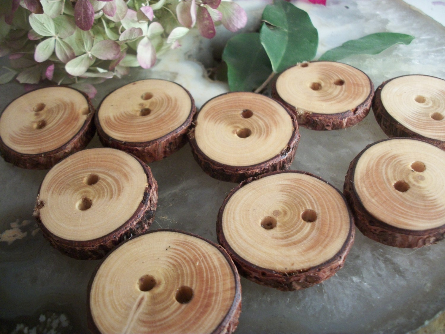 Wooden Buttons - 9 Michigan Spruce Wood Tree Branch Buttons 1 1/8 - 1 1/4 - 2 holes for Pillows, Hats, Scarves, Cowls, Mug Cozies