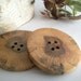 Big Wooden Buttons - 2 Red Oak Tree Branch Buttons - 2 1/2 Inches - for Journals, Pillows, Knitting, Fiber or Crochet projects